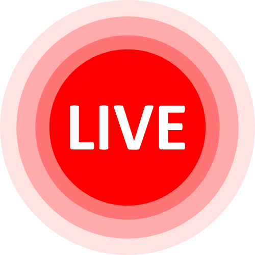 Lilyvegaa Cam